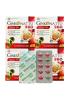 Ginkgo Natto 360 Coenzym Q10